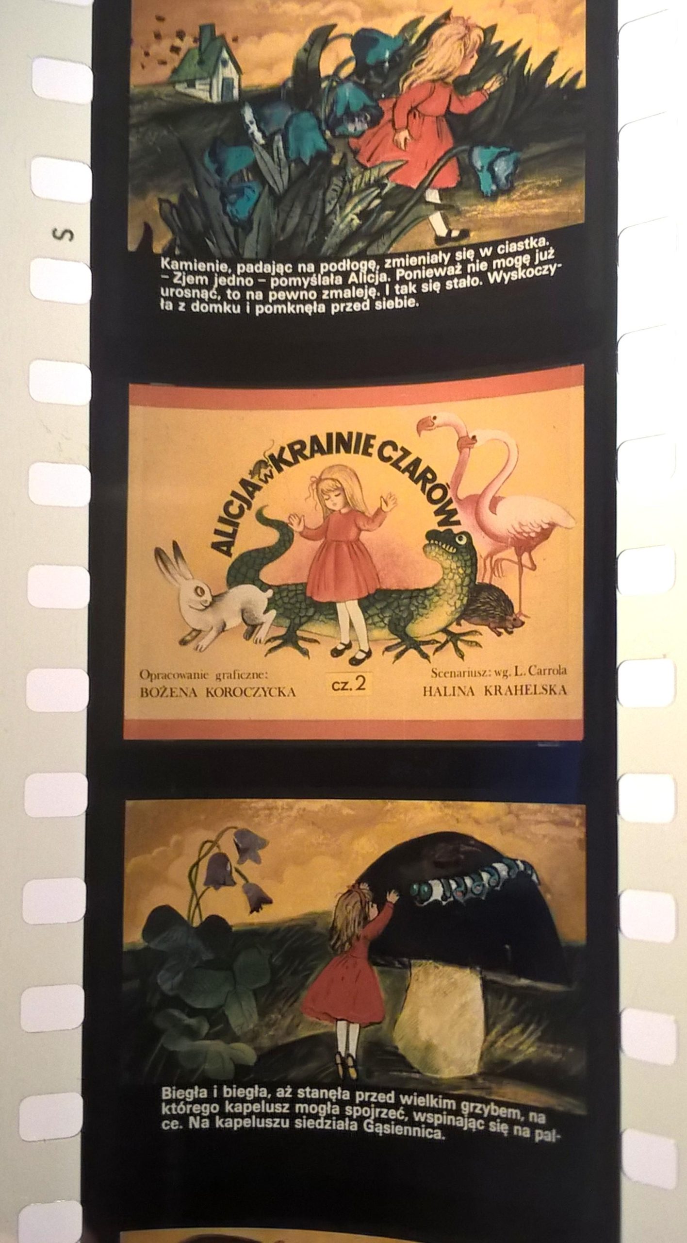 Bajka na projektor – przeźrocze „ALICJA W KRAINIE CZARÓW” wg L. Carrol - część 1 i 2 [21]