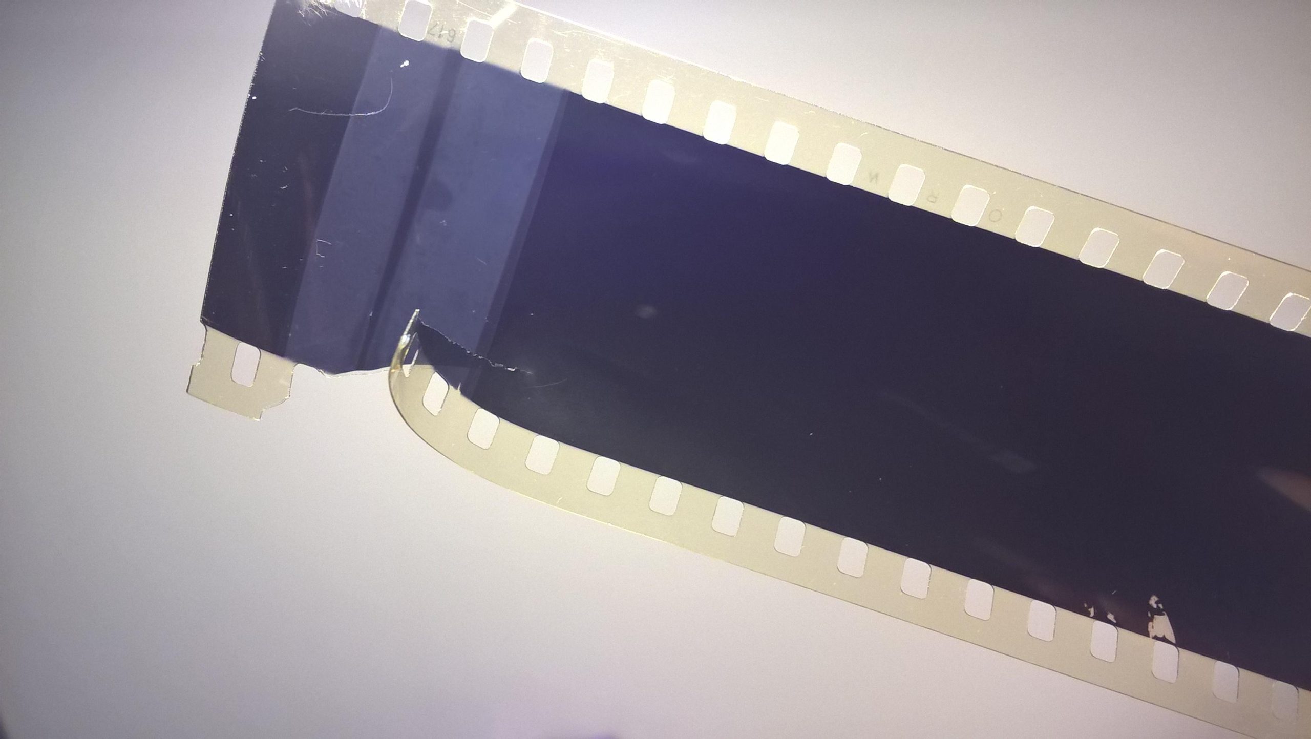 Bajka na projektor – przeźrocze „BUDOWAŁY DOM ZWIERZĘTA” [165]