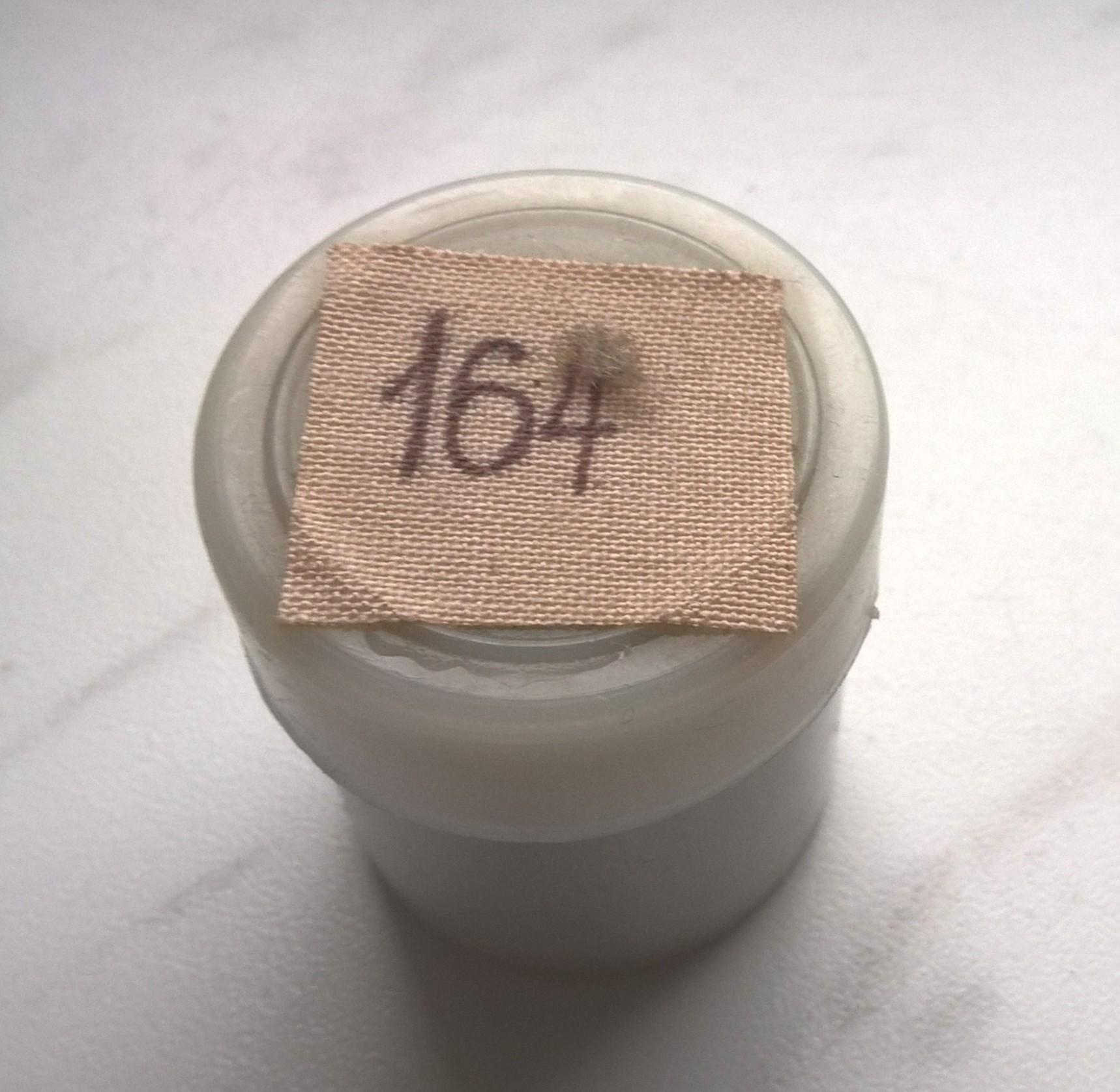 Bajka na projektor – przeźrocze „KOT W BUTACH” wg Jana Brzechwy [164]