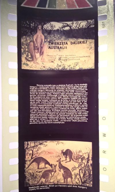 Bajka na projektor, przeźrocze – „ZWIERZĘTA DALEKIEJ AUSTRALII” [92]