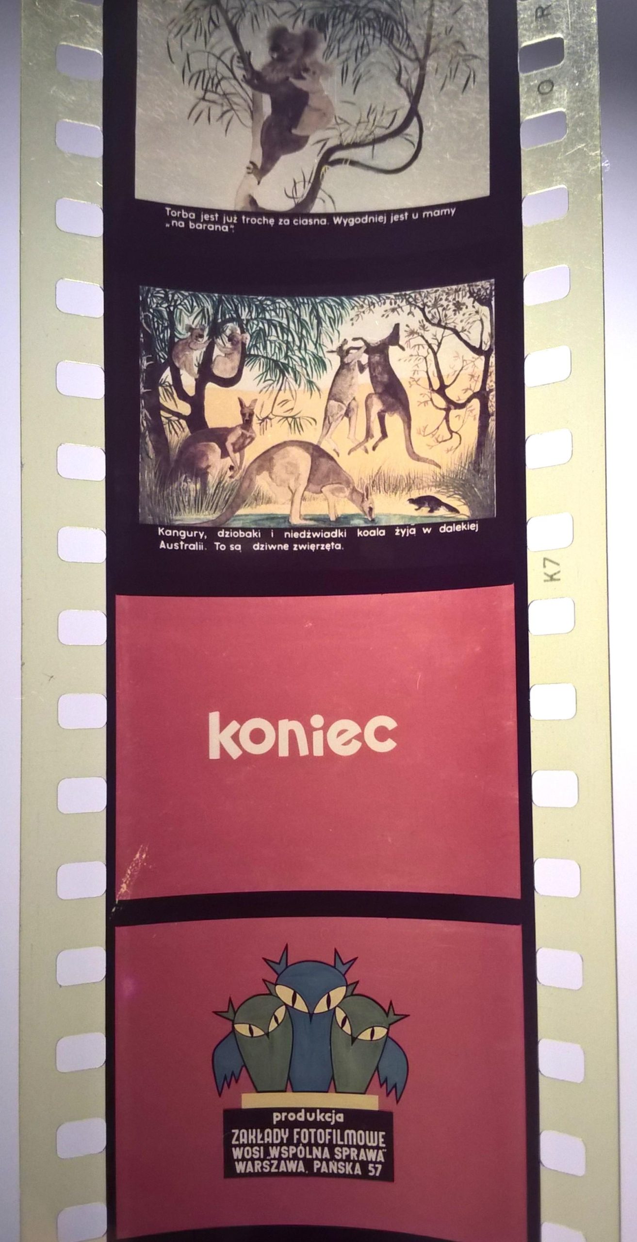 Bajka na projektor, przeźrocze – „ZWIERZĘTA DALEKIEJ AUSTRALII” [92]