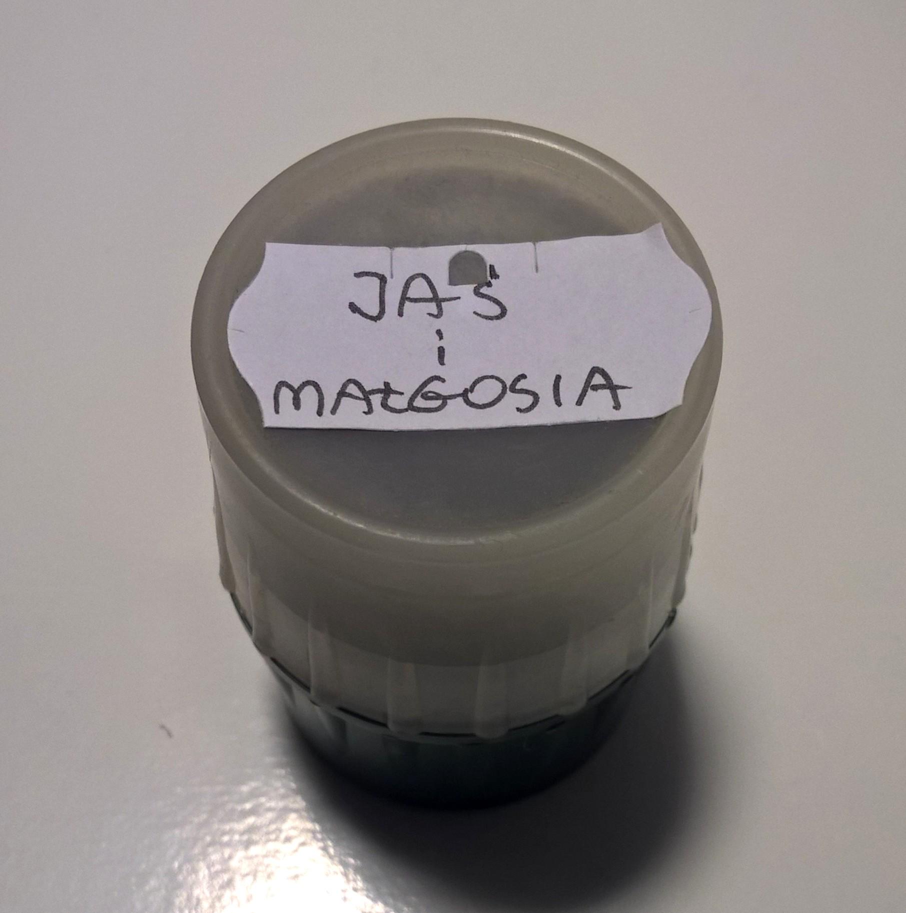 Bajka na projektor, przeźrocze – Baśń p.t. „JAŚ i MAŁGOSIA”