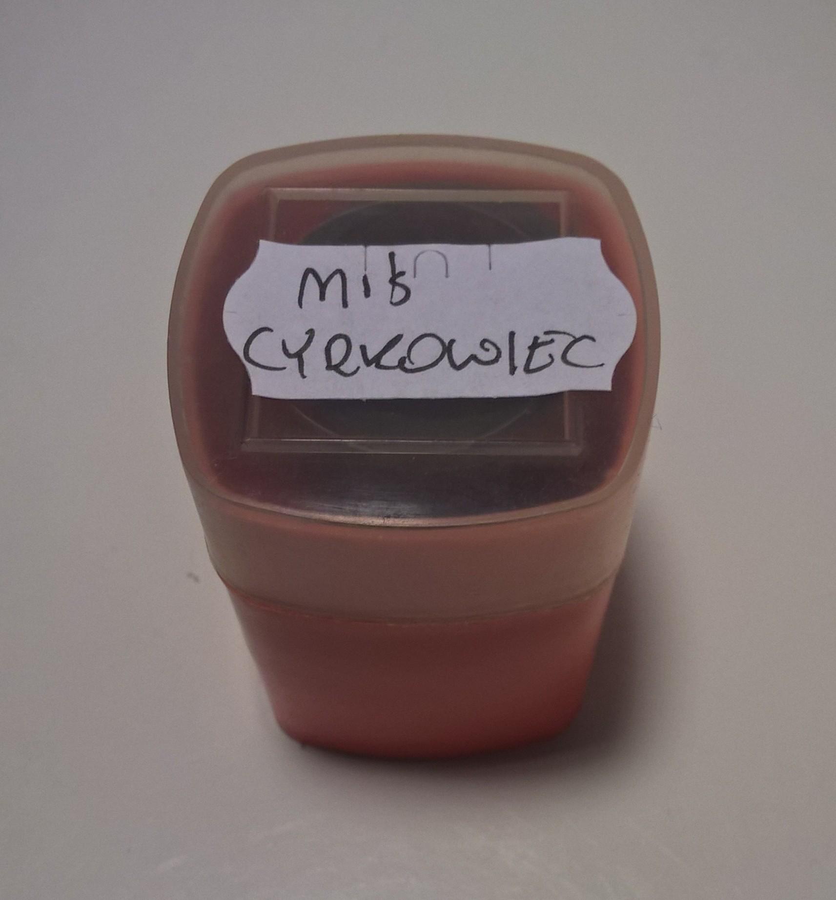 Bajka na projektor – przeźrocze „MIŚ CYRKOWIEC”