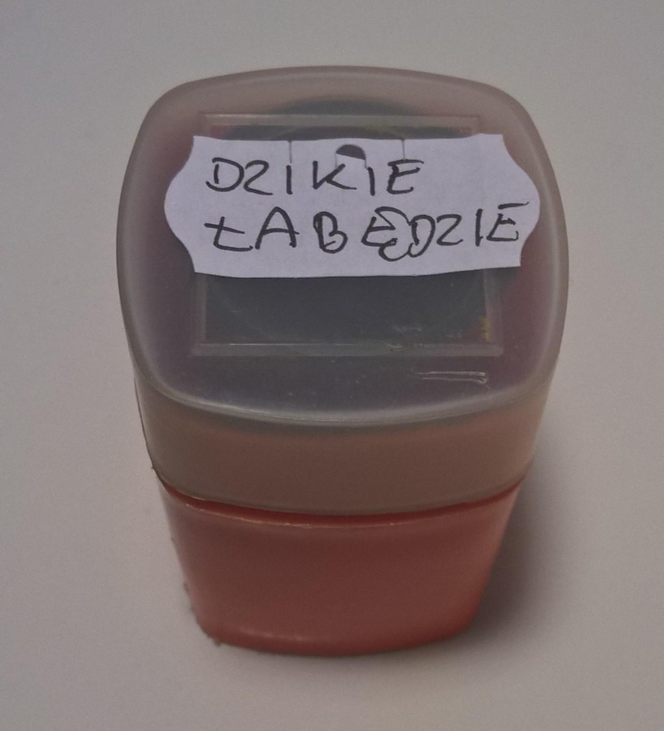 Bajka na projektor – przeźrocze „DZIEKIE ŁABĘDZIE” wg Jana Christiana Andersena