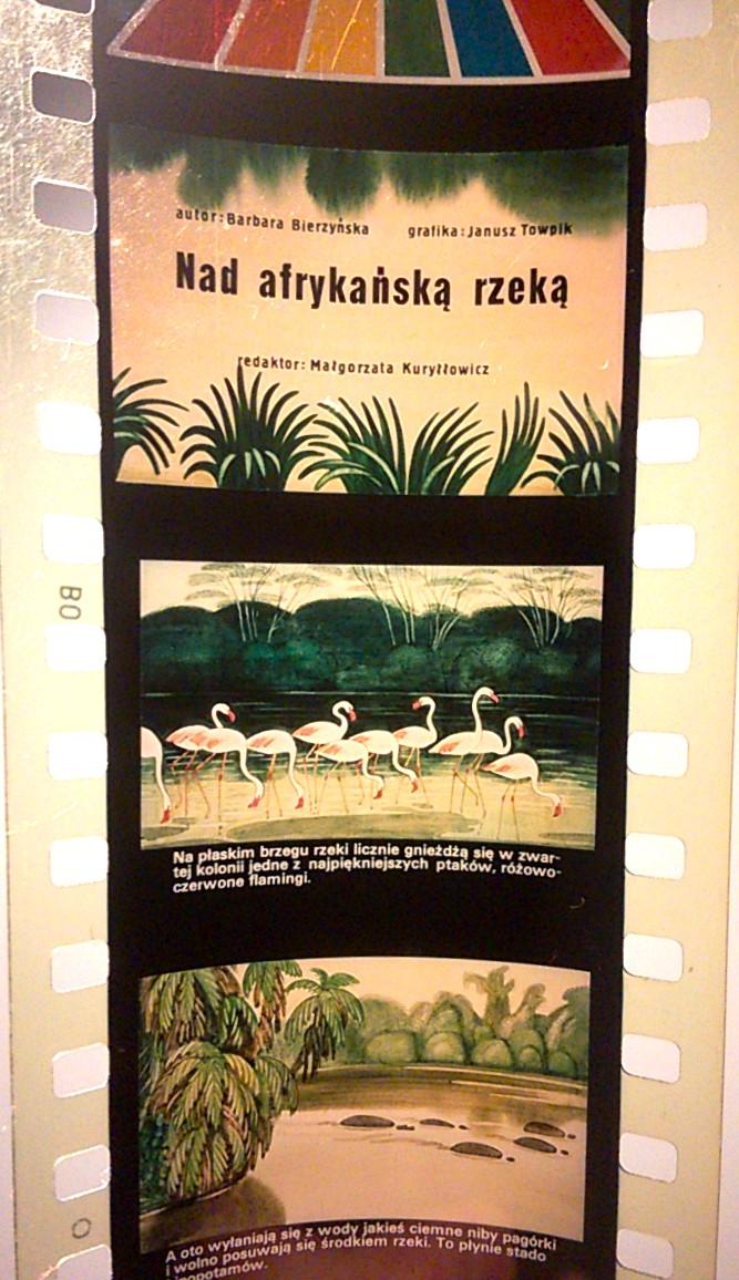 Bajka na projektor, przeźrocze – „NAD AFRYKAŃSKĄ RZEKĄ” [141]
