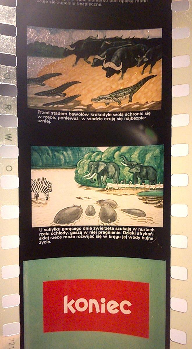 Bajka na projektor, przeźrocze – „NAD AFRYKAŃSKĄ RZEKĄ” [141]