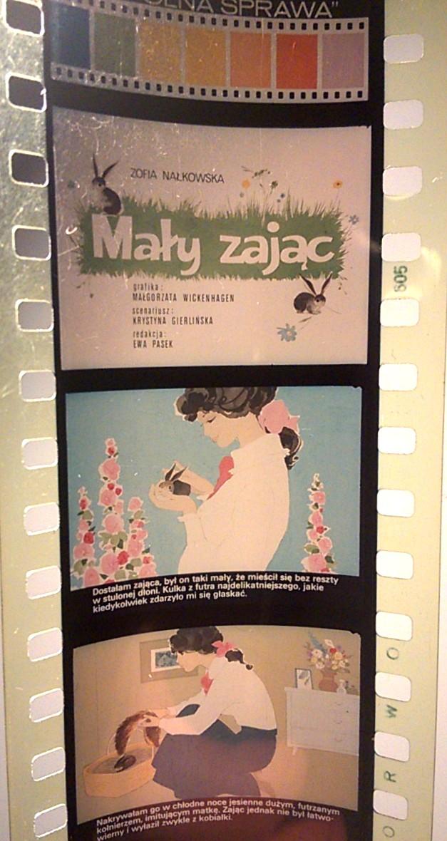 Bajka na projektor, przeźrocze – „MAŁY ZAJĄC” Zofia Nałkowska [145]