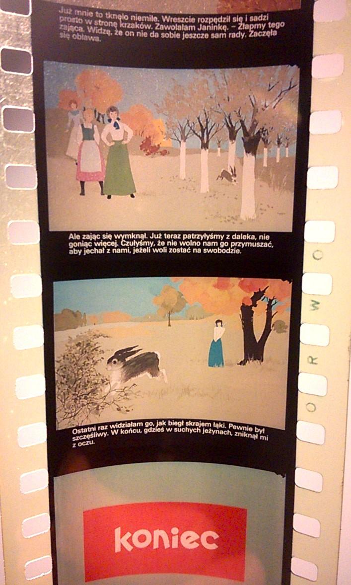 Bajka na projektor, przeźrocze – „MAŁY ZAJĄC” Zofia Nałkowska [145]