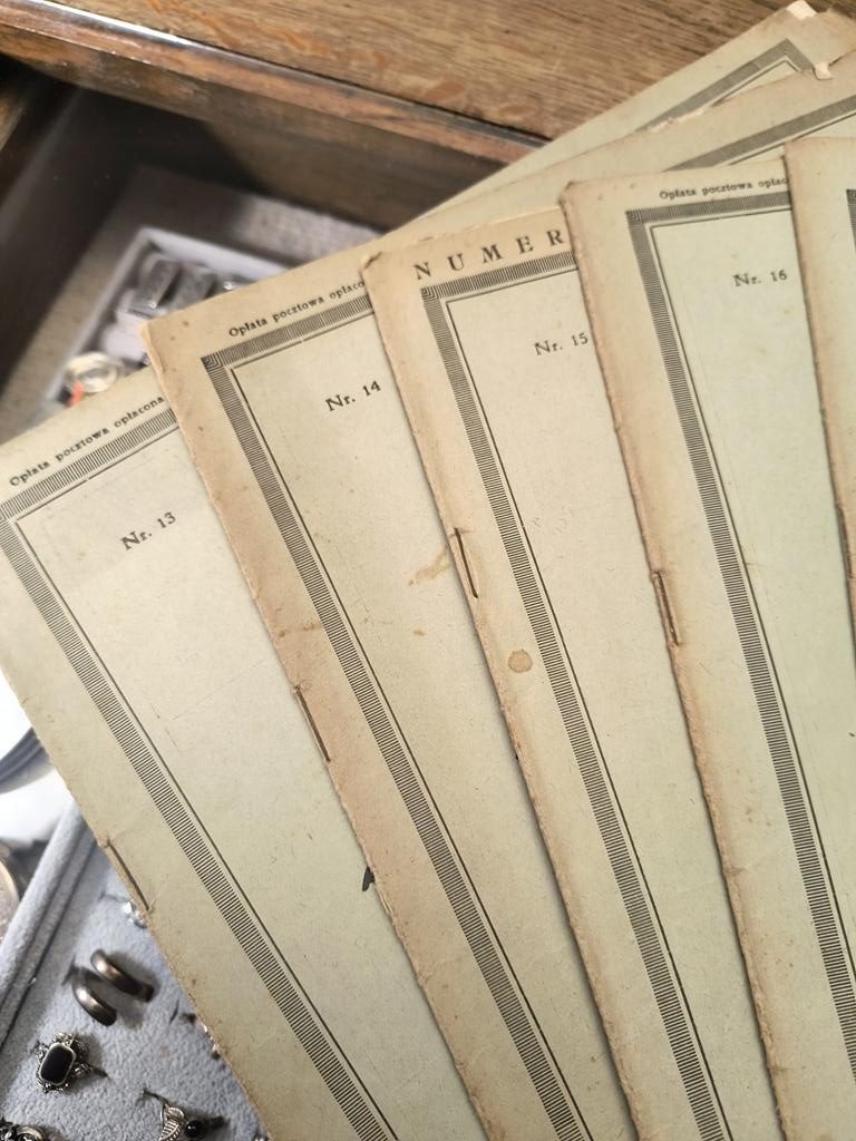 Zestaw czasopism "Tygodnik ilustrowny", lata: 1924-1925