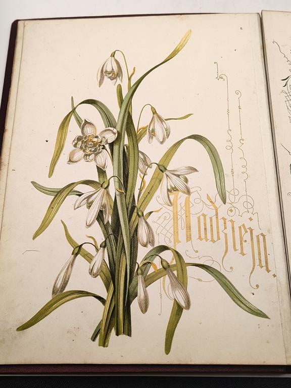 Książka "KWIATY I POEZJE" Maxymilian Fajans, Warszawa, 1883 r. - Wydanie z utworami Marii Konopnickiej i Adama Pługa - RZADKOŚĆ