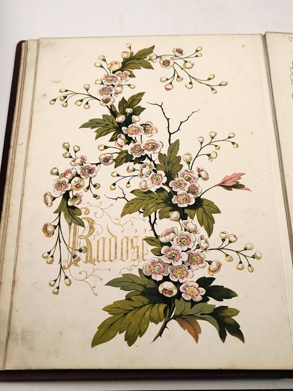 Książka "KWIATY I POEZJE" Maxymilian Fajans, Warszawa, 1883 r. - Wydanie z utworami Marii Konopnickiej i Adama Pługa - RZADKOŚĆ