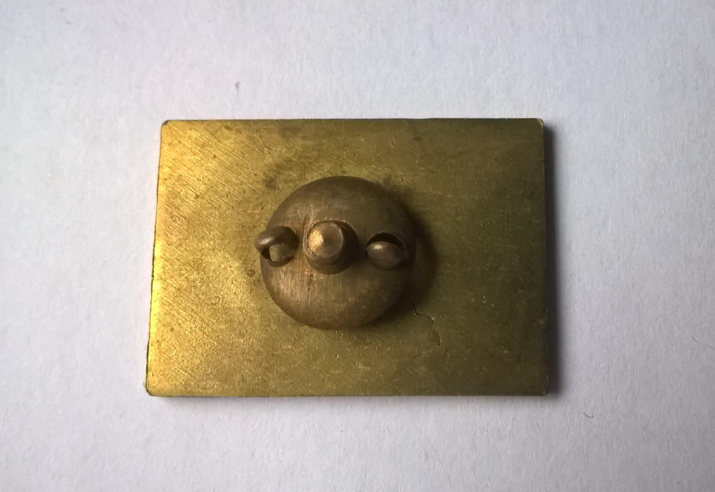 Odznaka - WARSZAWA - NIKE