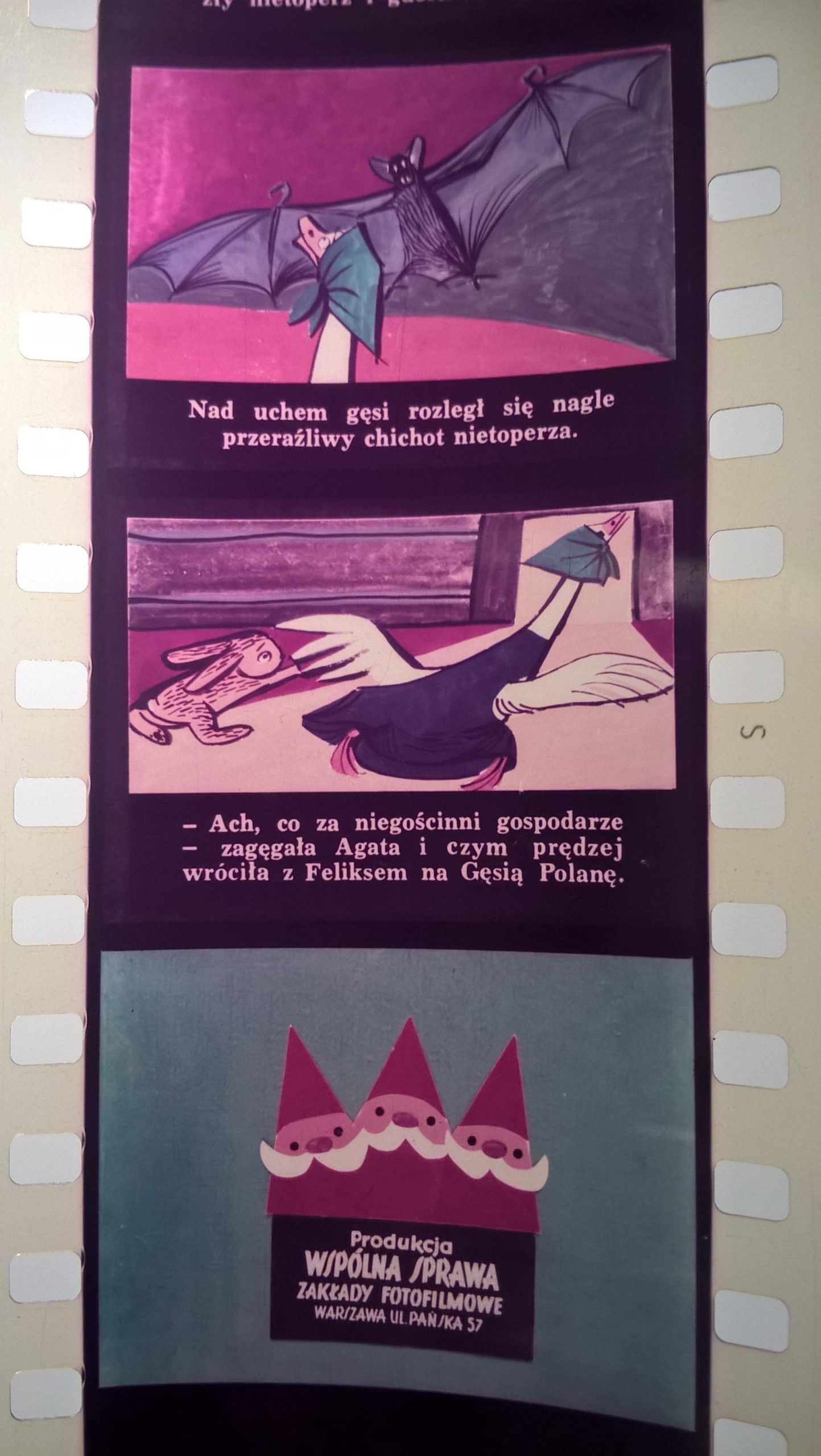 Bajka na projektor, przeźrocze – „PRZYGODY ZAJĄCZKA FELIKSA - SYNA GĘSI AGATY” [24]