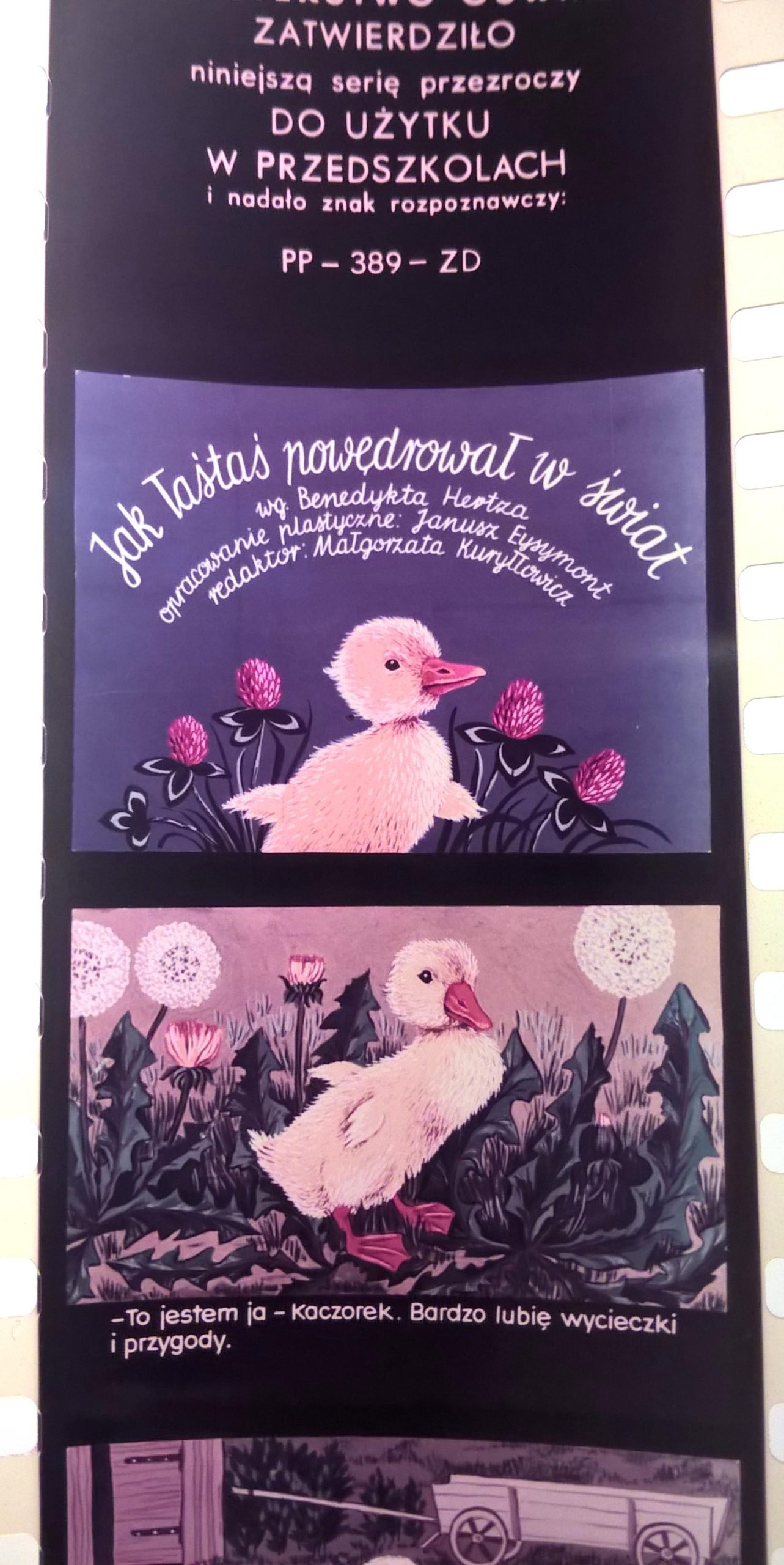 Bajka na projektor, przeźrocze – „JAK ŁAŚTAŚ POWĘDROWAŁ W ŚWIAT” wg Benedykta Hertza [140]