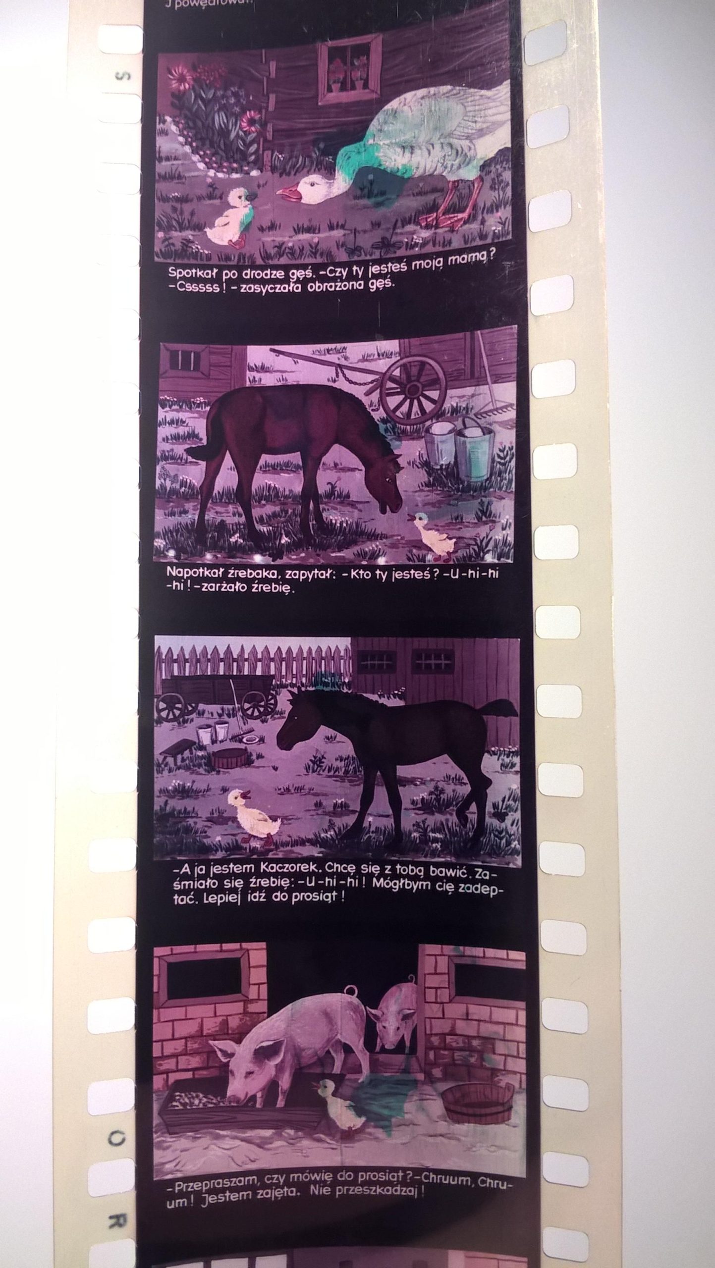 Bajka na projektor, przeźrocze – „JAK ŁAŚTAŚ POWĘDROWAŁ W ŚWIAT” wg Benedykta Hertza [140]