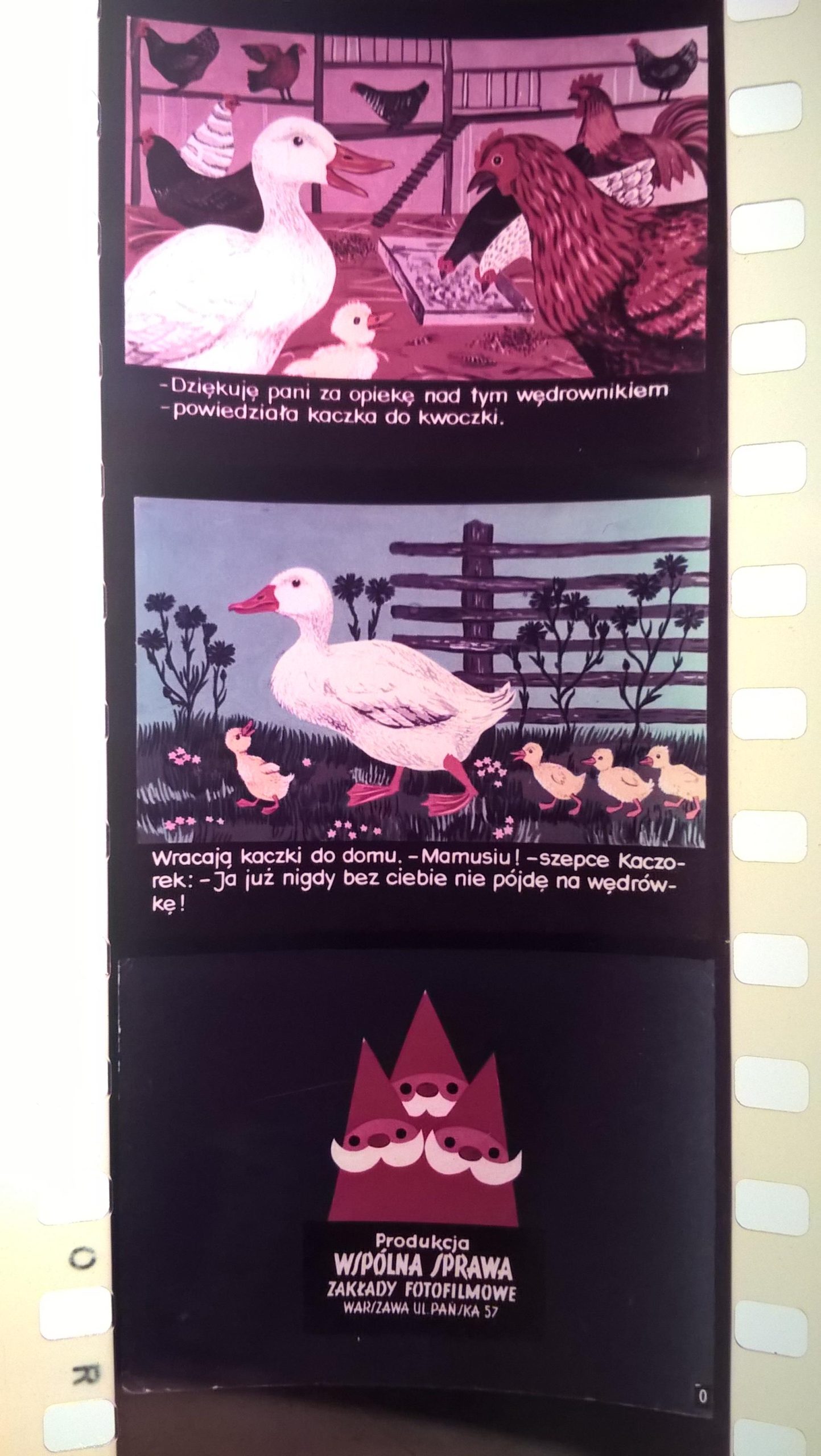 Bajka na projektor, przeźrocze – „JAK ŁAŚTAŚ POWĘDROWAŁ W ŚWIAT” wg Benedykta Hertza [140]