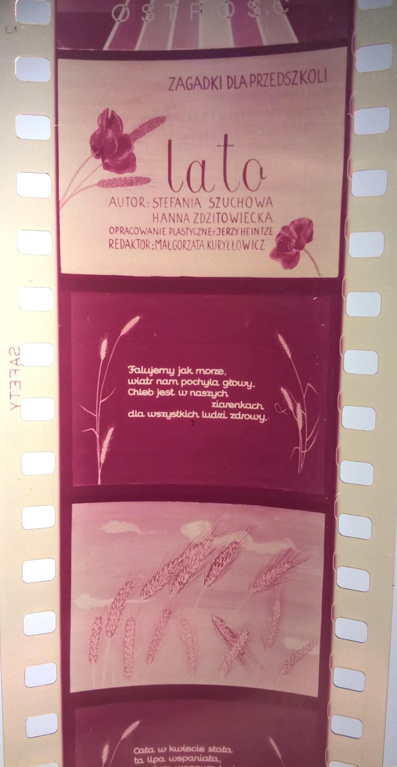 Zestaw przeźroczy, bajek na projektor – 3 sztuki: Wiosna, Lato, Jesień