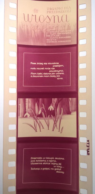 Zestaw przeźroczy, bajek na projektor – 3 sztuki: Wiosna, Lato, Jesień