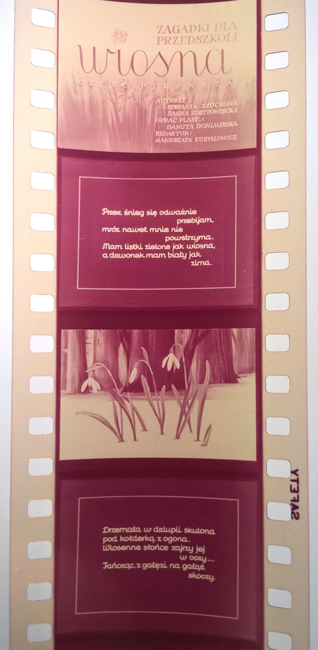 Zestaw przeźroczy, bajek na projektor – 3 sztuki: Wiosna, Lato, Jesień