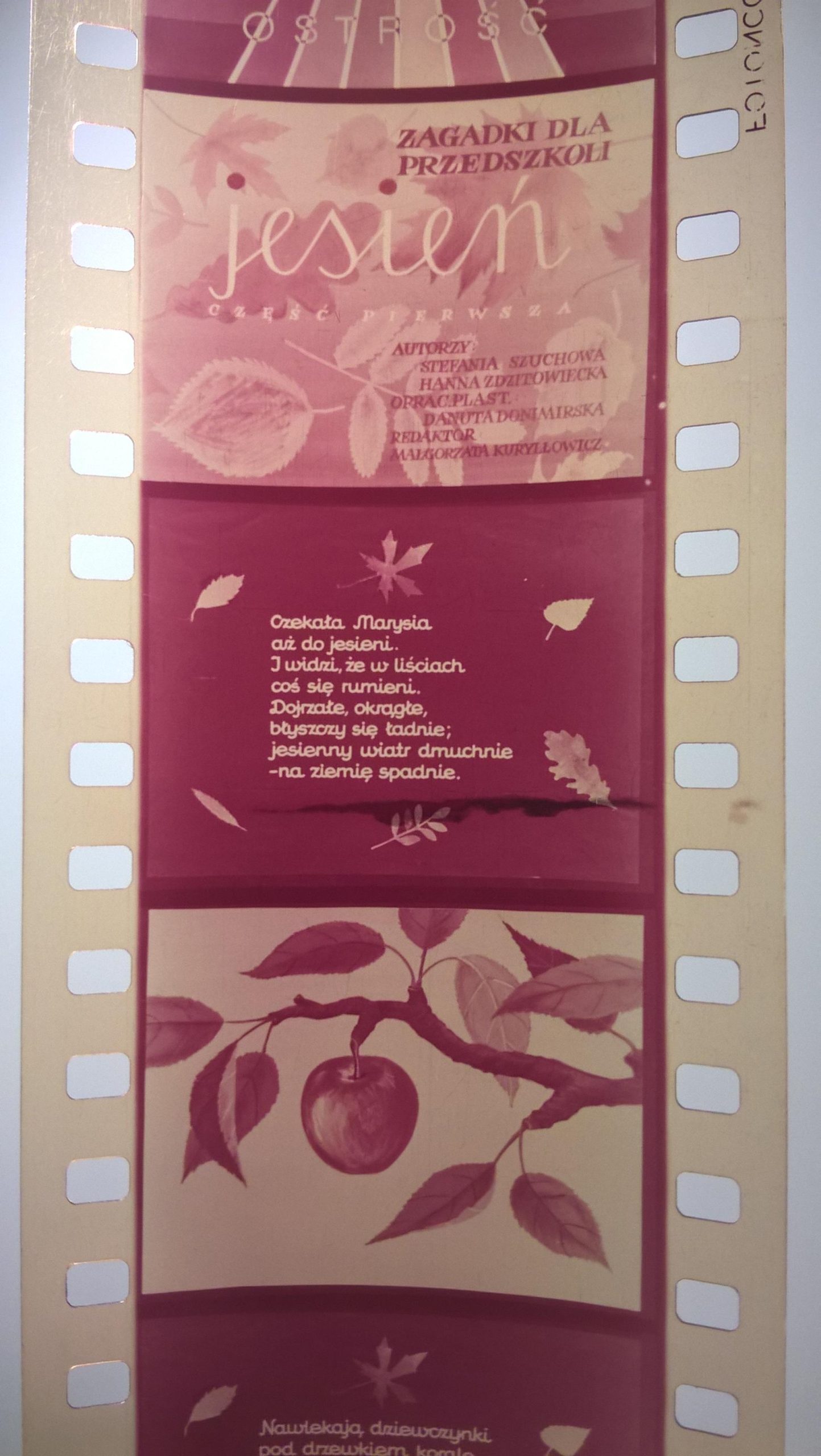 Zestaw przeźroczy, bajek na projektor – 3 sztuki: Wiosna, Lato, Jesień