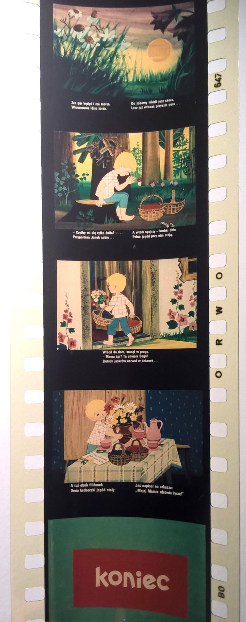 Bajka na projektor, przeźrocze „NA JAGODY” wg Marii Konopnickiej [48]