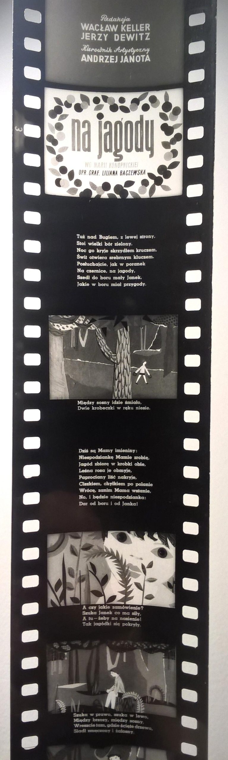 Bajka na projektor, przeźrocze (czarno-białe) - „NA JAGODY” wg Marii Konopnickiej [46]