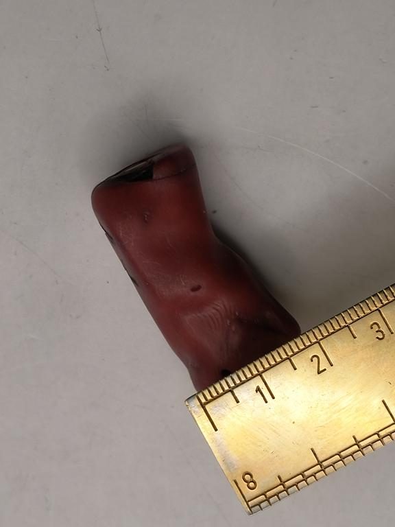 Zawieszka z korala naturalnego