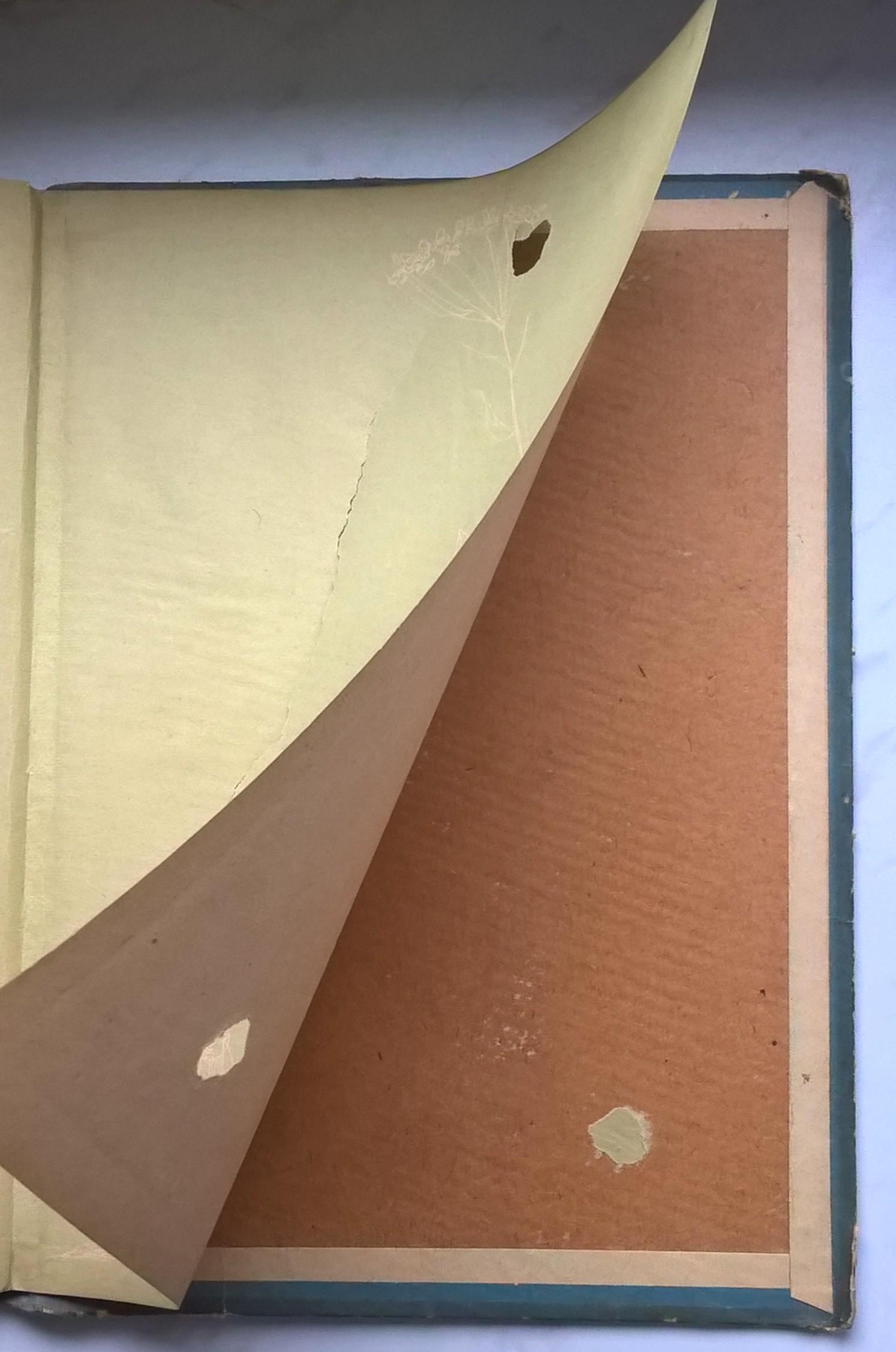 Książka dla dzieci - Jan Brzechwa "Bajki i Baśnie", ilustrował Jan Marcin Szancer, 1954 r.