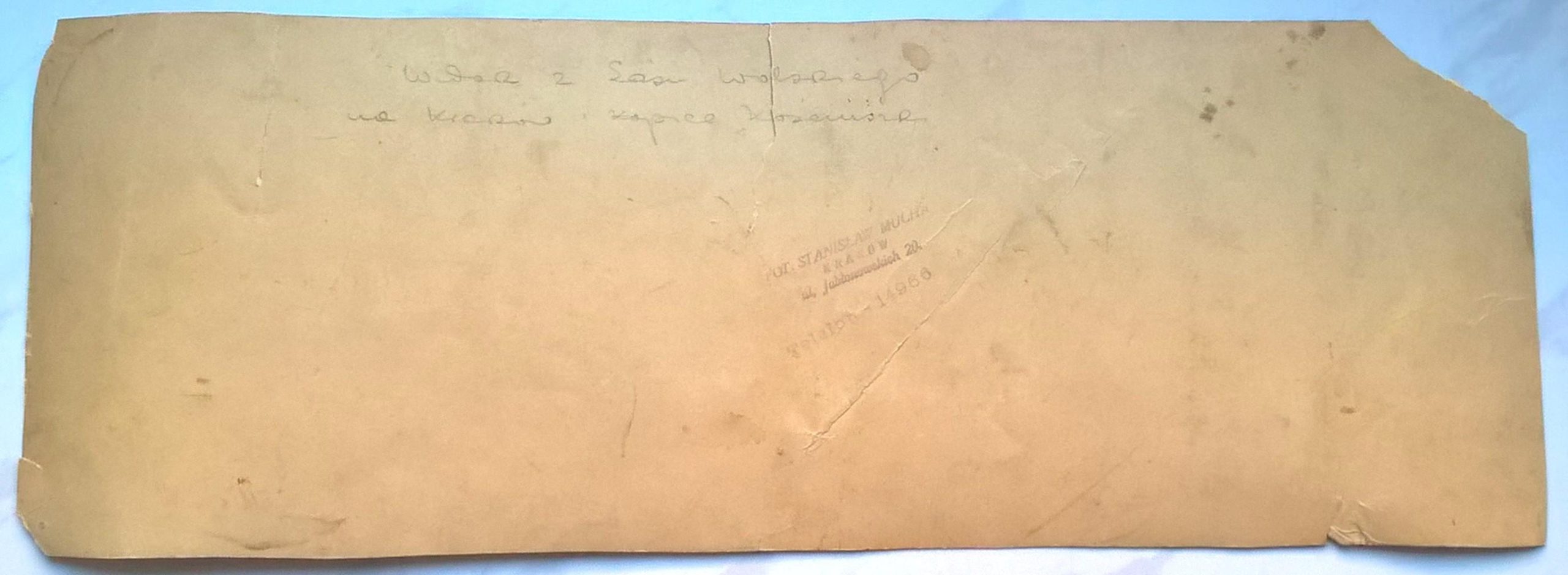 Duże zdjęcie - Widok z Lasu Wolskiego na Kraków i Kopiec Kościuszki - fot. St. Mucha, Kraków