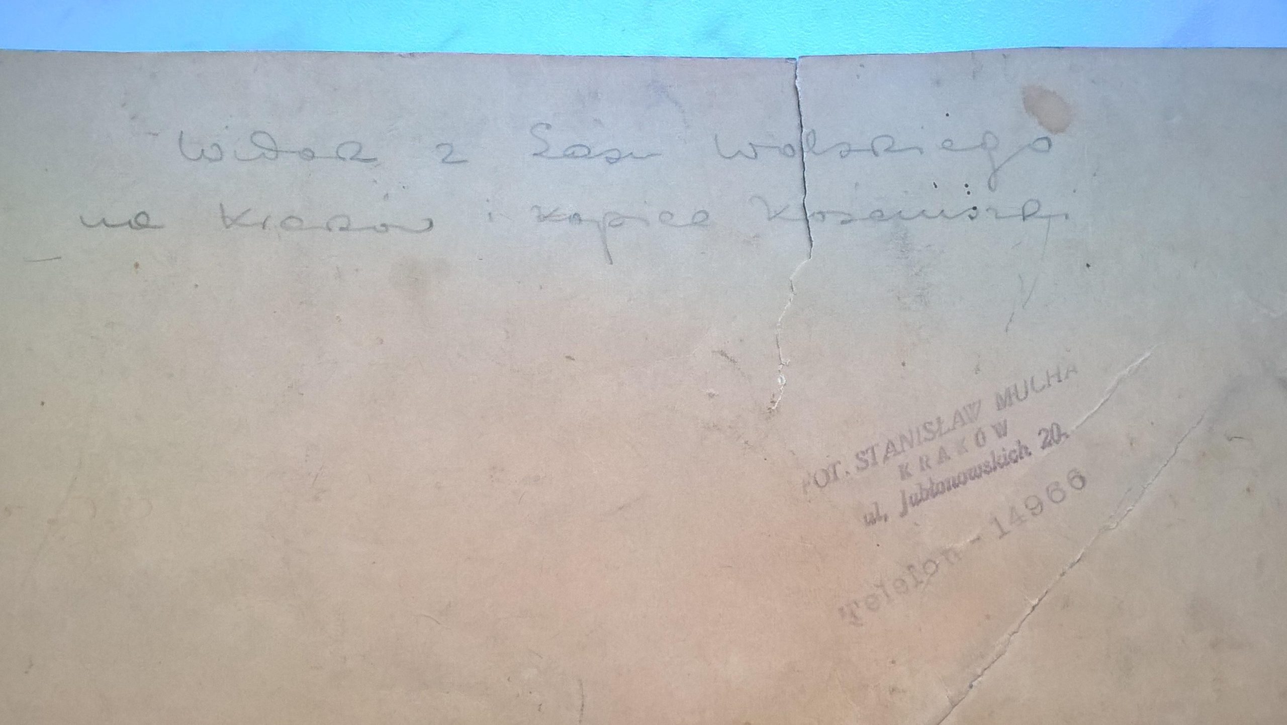 Duże zdjęcie - Widok z Lasu Wolskiego na Kraków i Kopiec Kościuszki - fot. St. Mucha, Kraków