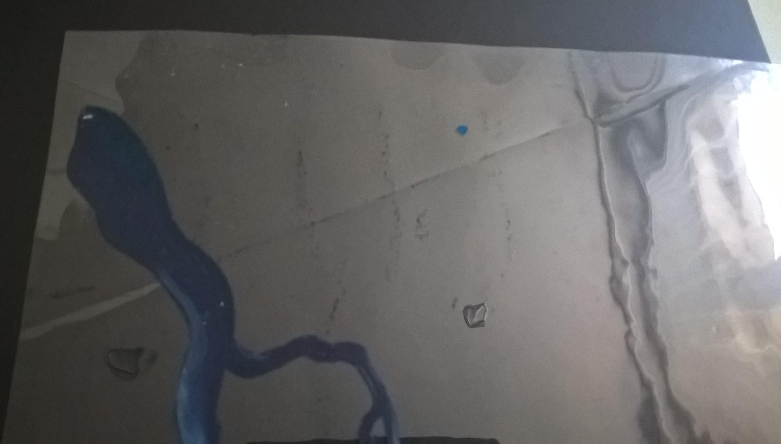 Zestaw animacyjny ze Studia Filmów Rysunkowych w Bielsku-Białej - tło i folia