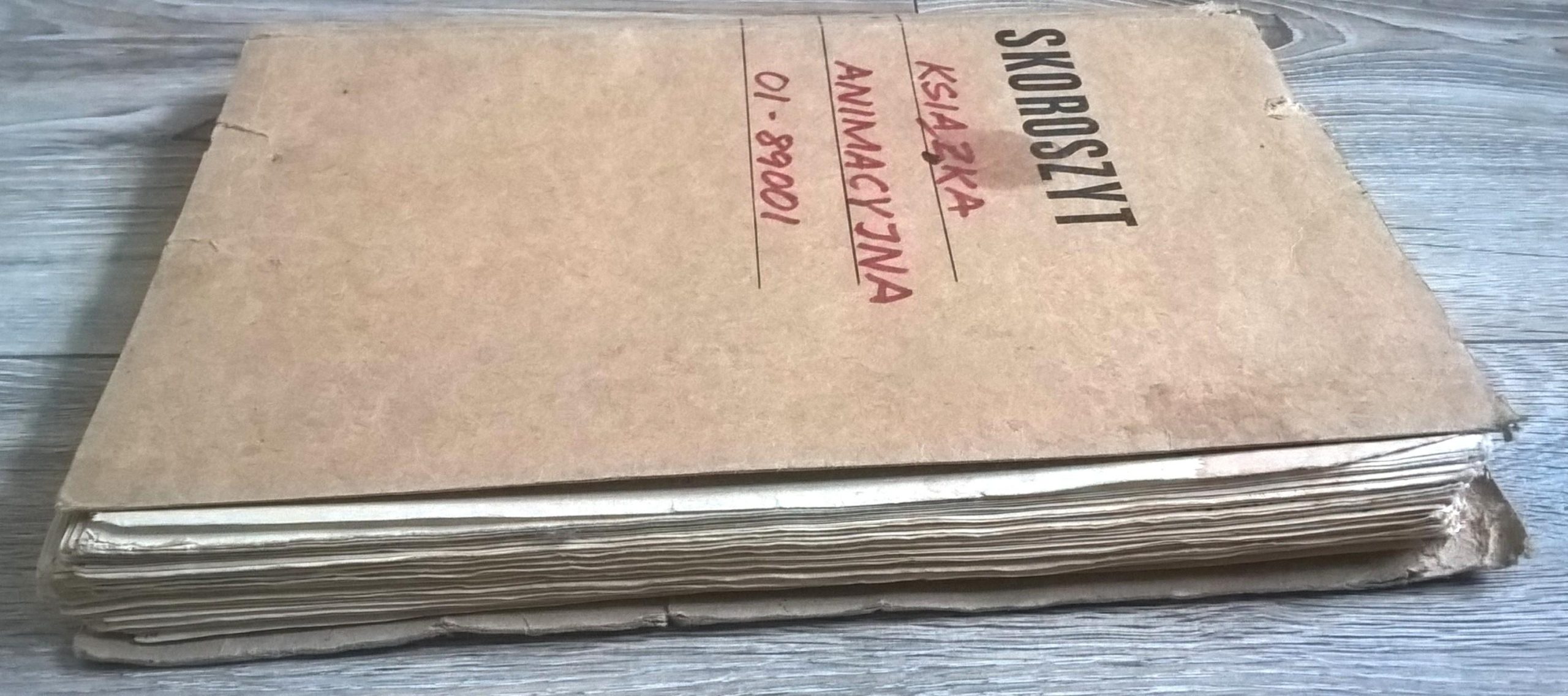 Książka animacyjna Hanna-Barbera Poland