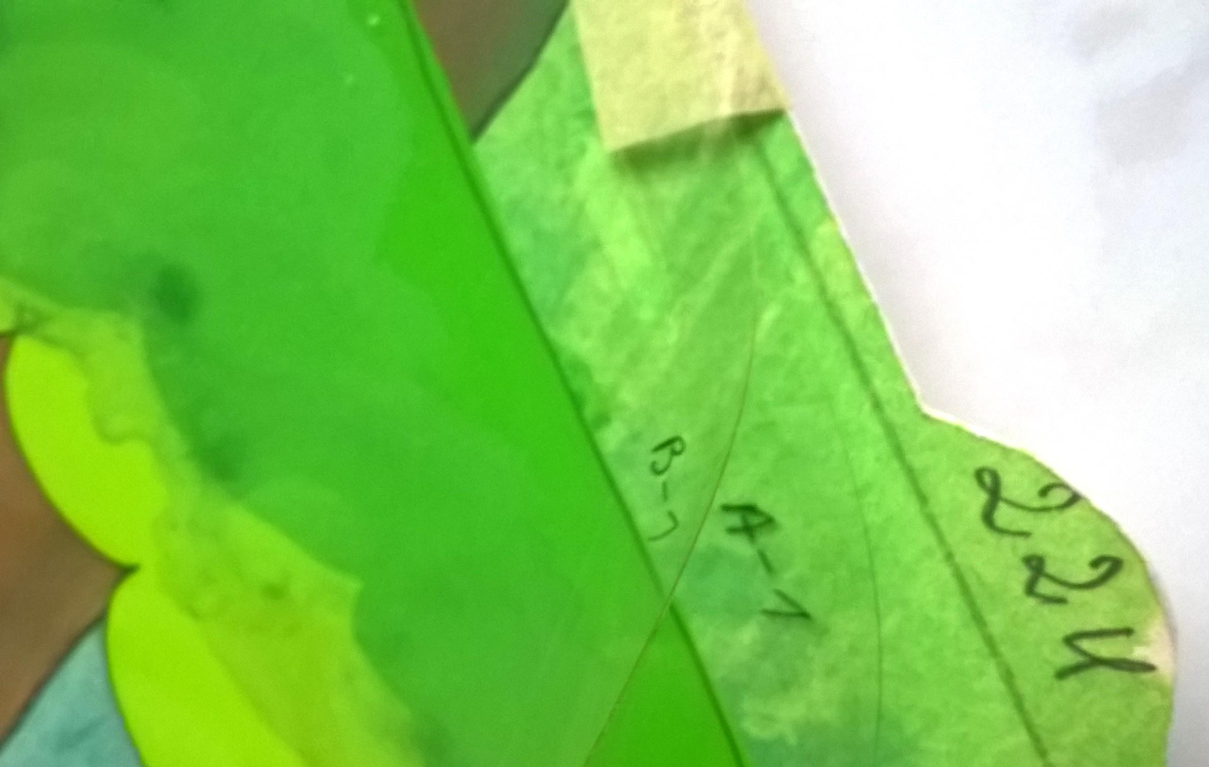 Zestaw animacyjny z bajki "Między nami bocianami" - odc. X "Geniusz Eugeniusz"