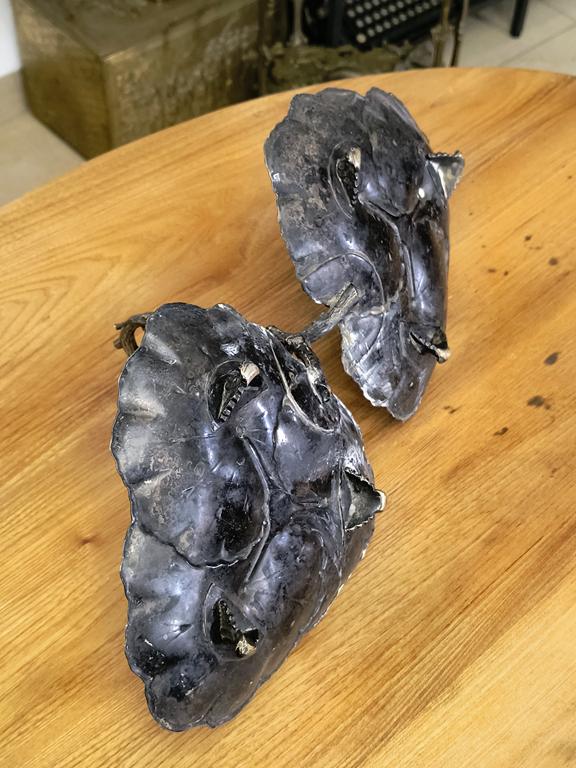 Duża patera LIŚCIE - secesja