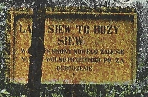 Pocztówka - KRYNICA. Ścieżka w parku na "Józefówkę", 1908 r.