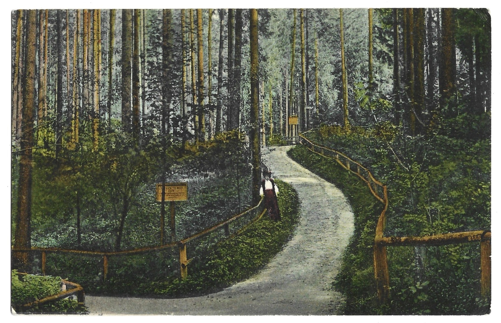 Pocztówka - KRYNICA. Ścieżka w parku na "Józefówkę", 1908 r.