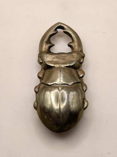 Pojemnik, etui na zapałki - chrząszcz