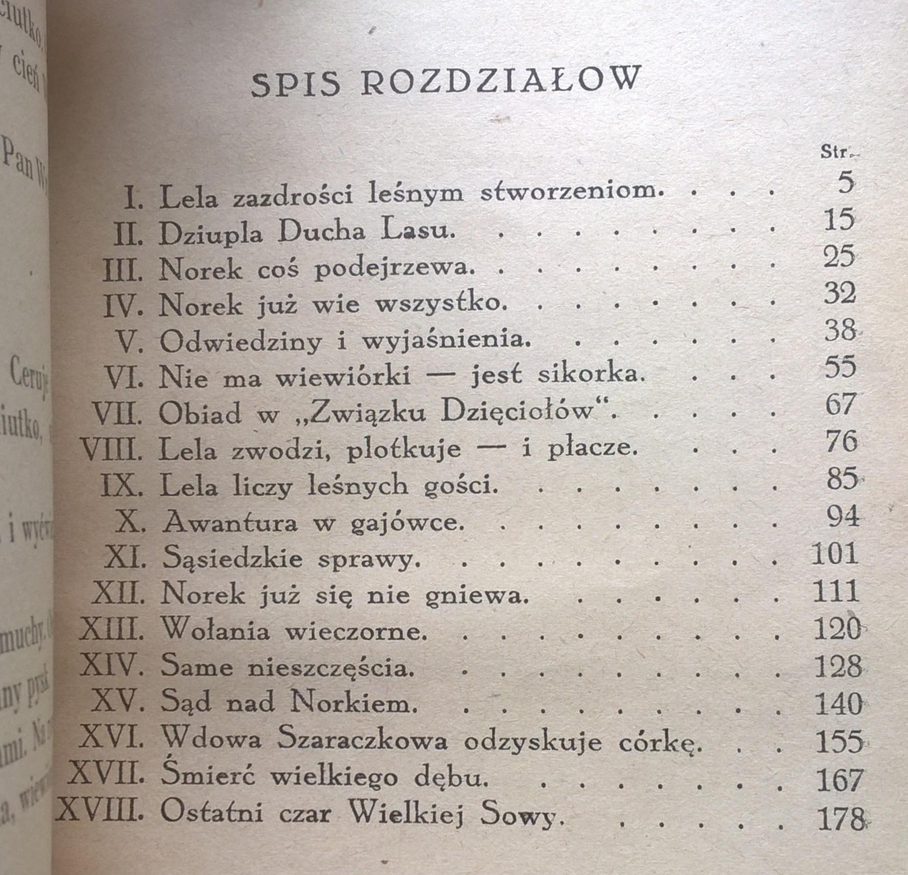 Książka "Czar Wielkiej Sowy - opowiadanie dla młodzieży" Maria Kędziorzyna, 1943 r.