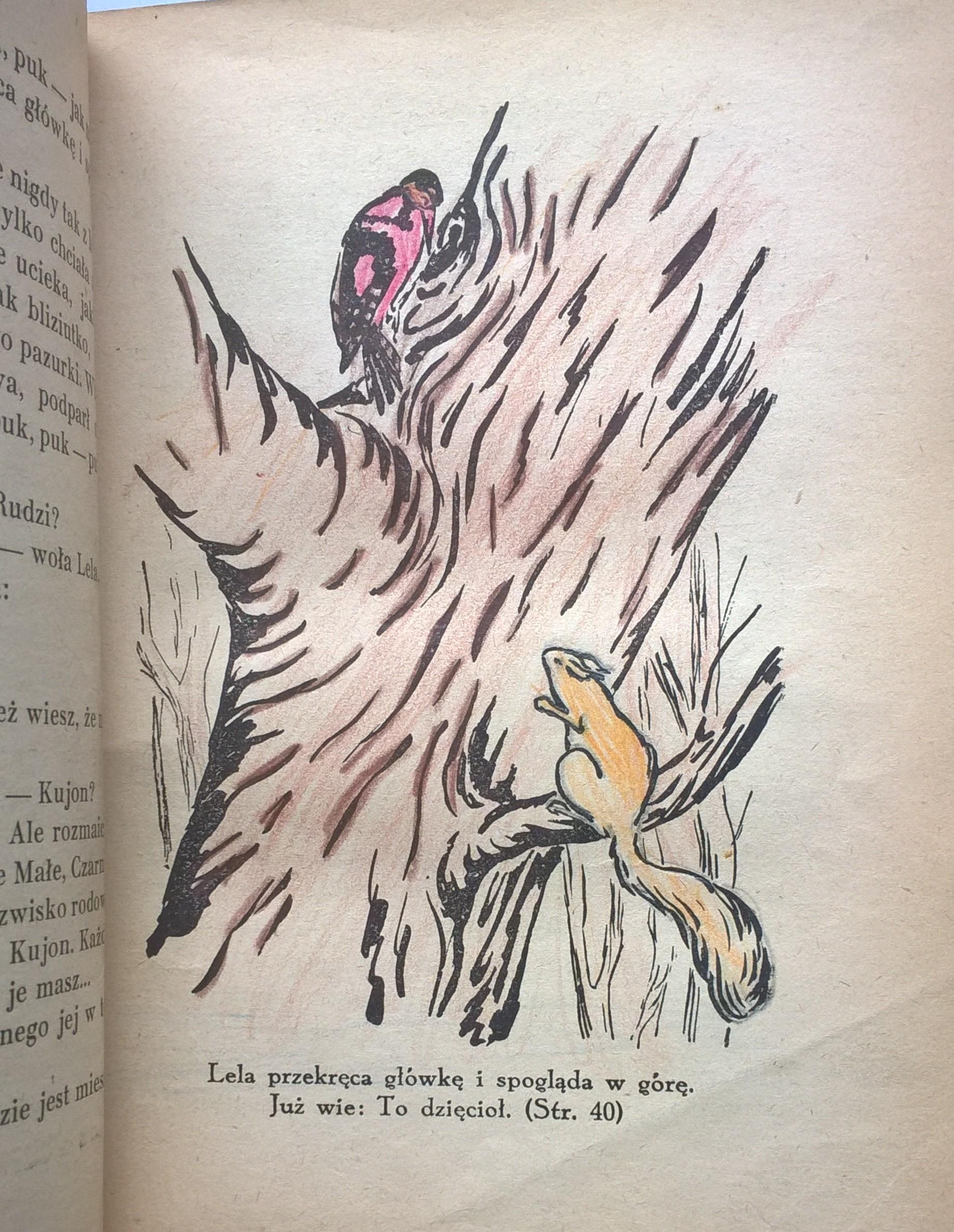 Książka "Czar Wielkiej Sowy - opowiadanie dla młodzieży" Maria Kędziorzyna, 1943 r.