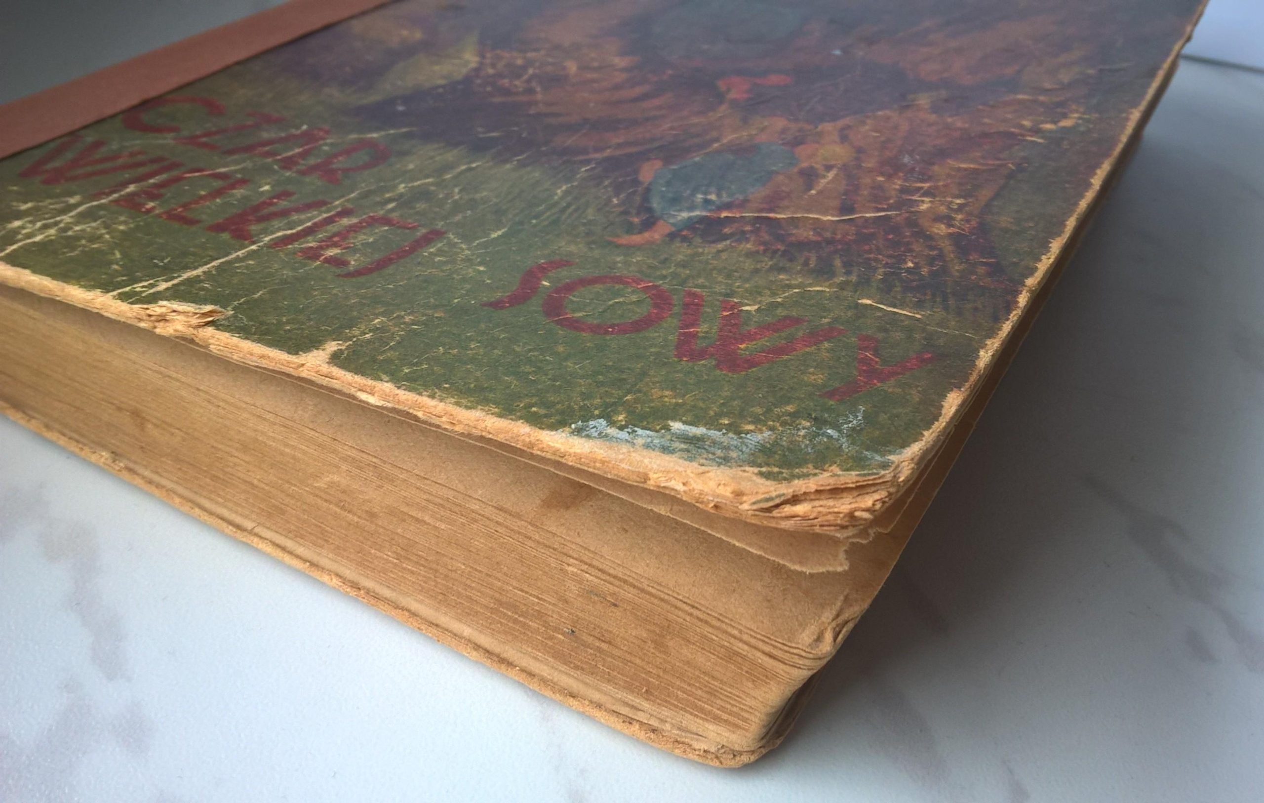 Książka "Czar Wielkiej Sowy - opowiadanie dla młodzieży" Maria Kędziorzyna, 1943 r.