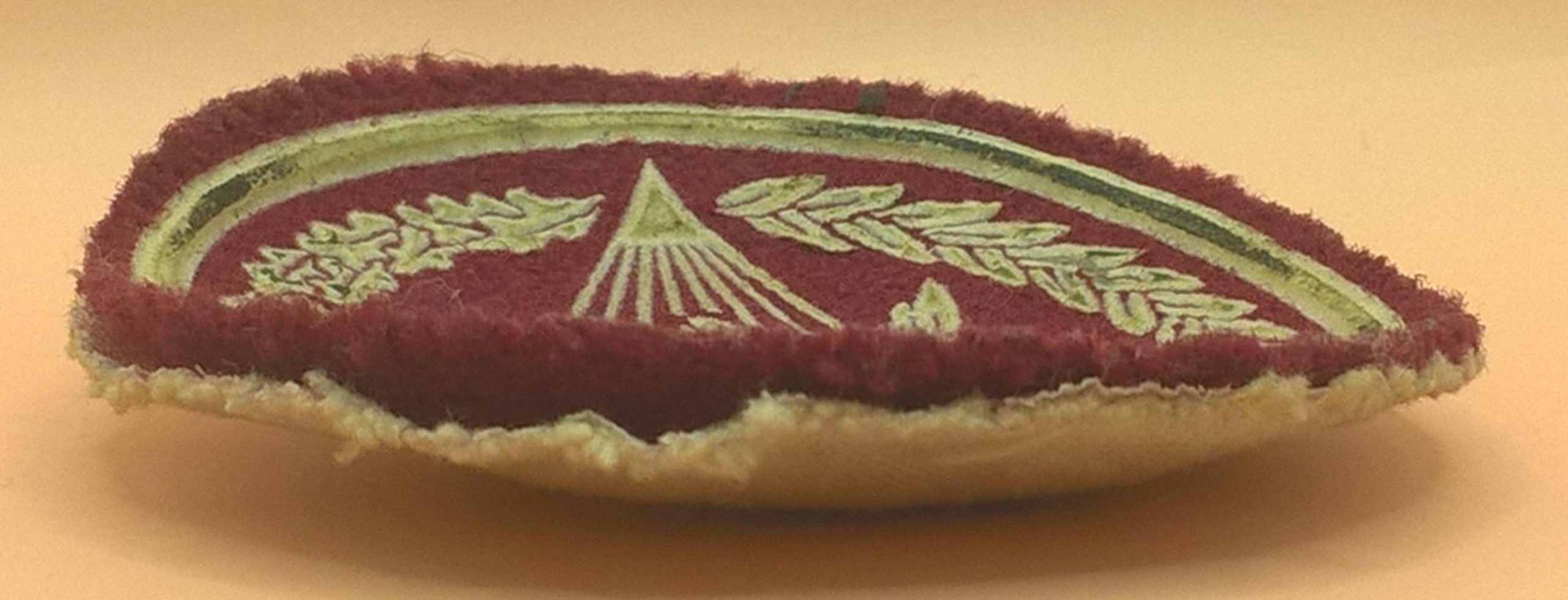 Naszywka wojskowa - desant