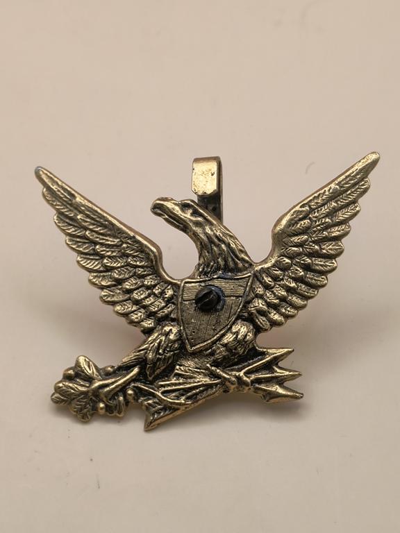Oryginalny orzeł-zawieszka US ARMY