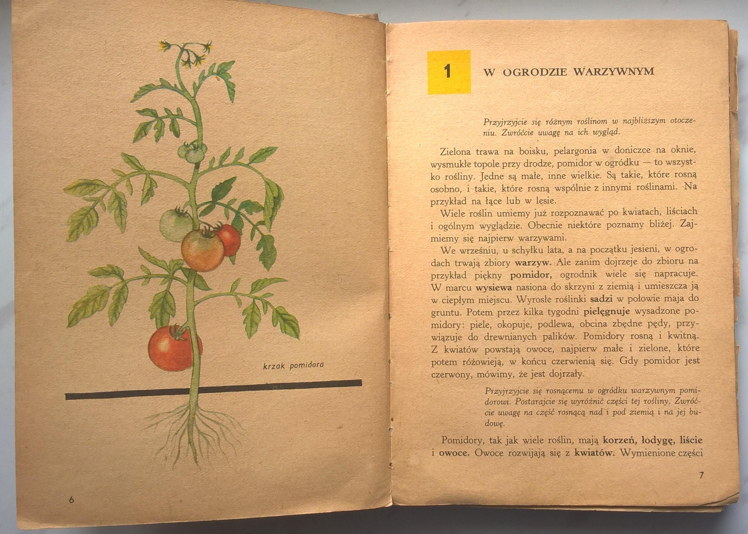 Książka dla dzieci "Świat wokół nas. Wiadomości o przyrodzie dla klasy III", 1971 r.
