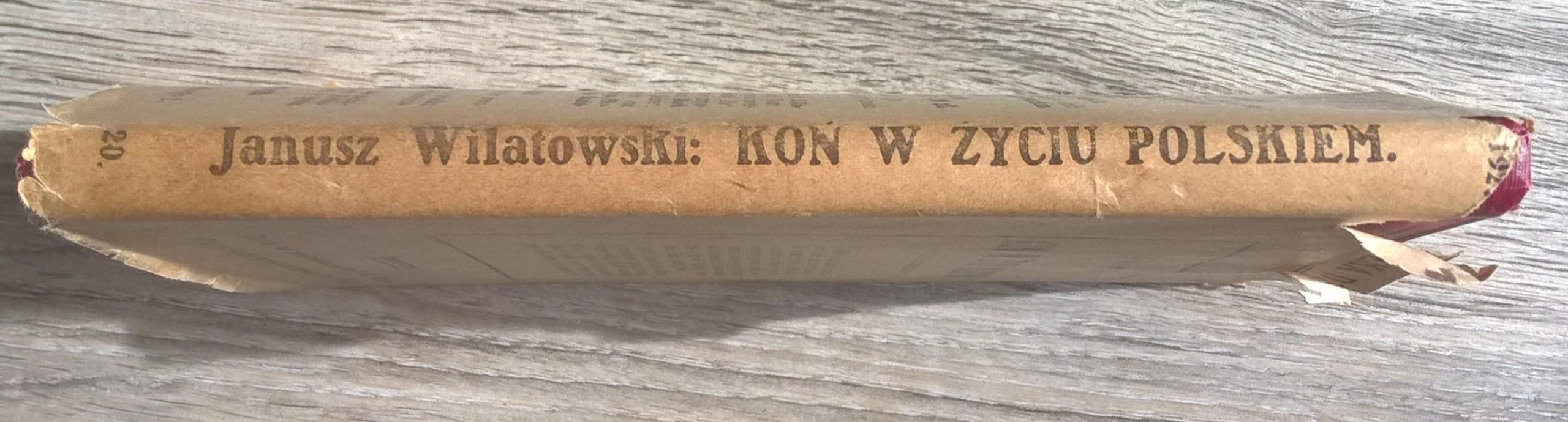 Książka "Koń w życiu polskiem. Rys historyczno-obyczajowy" Janusz Wilatowski, 1927 r.
