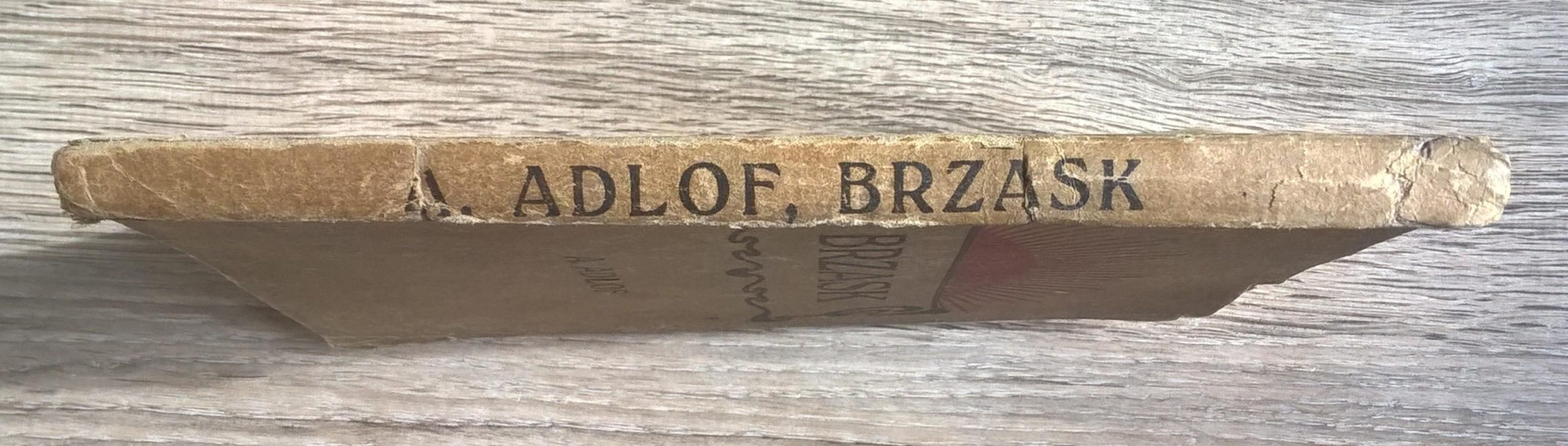 Książka "Brzask. Opowiadanie z życia czeskiego XIV stólecia" Alois Adlof, 1922 r.