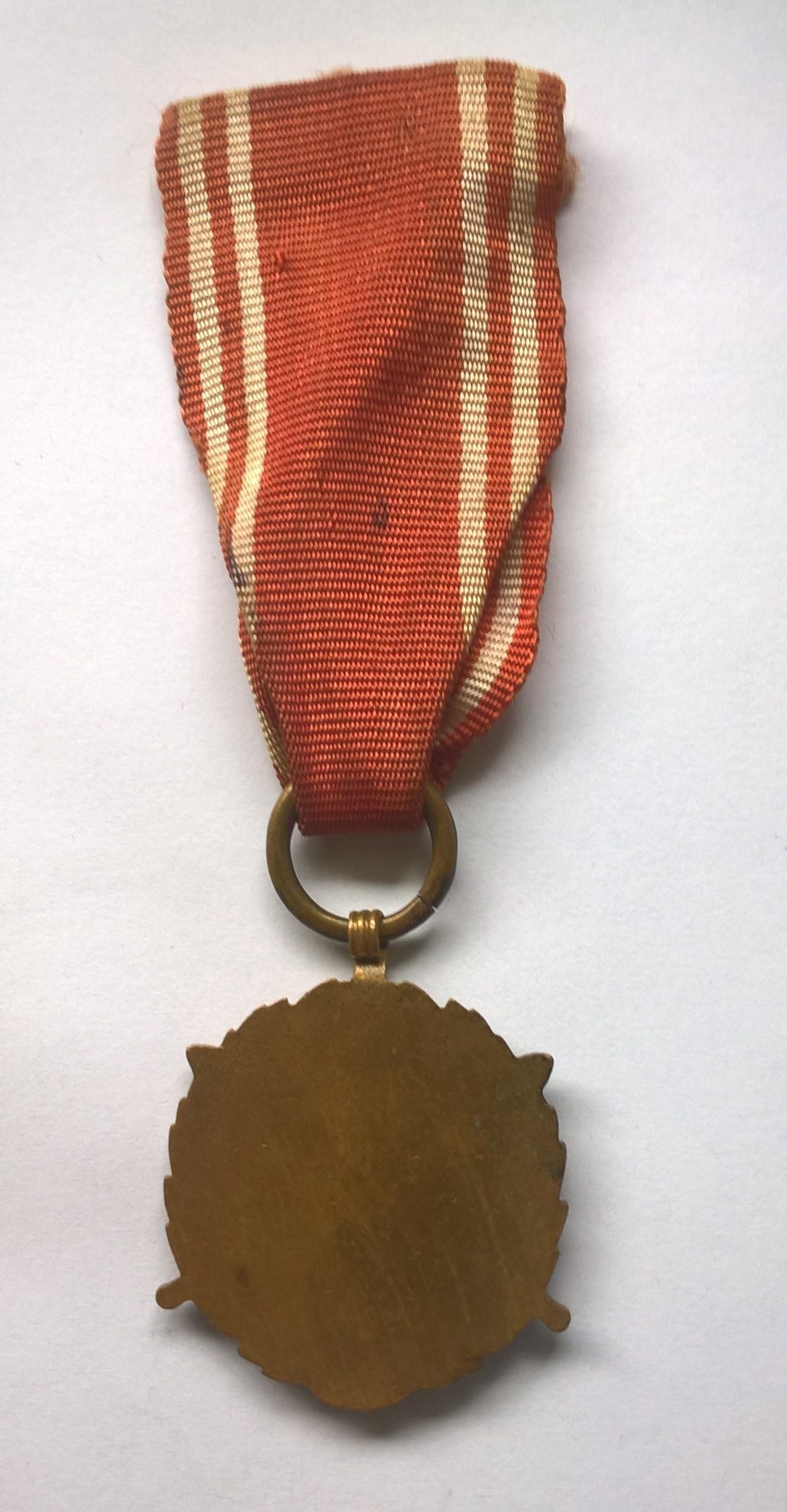 Medal - Siły Zbrojne w Służbie Ojczyzny V
