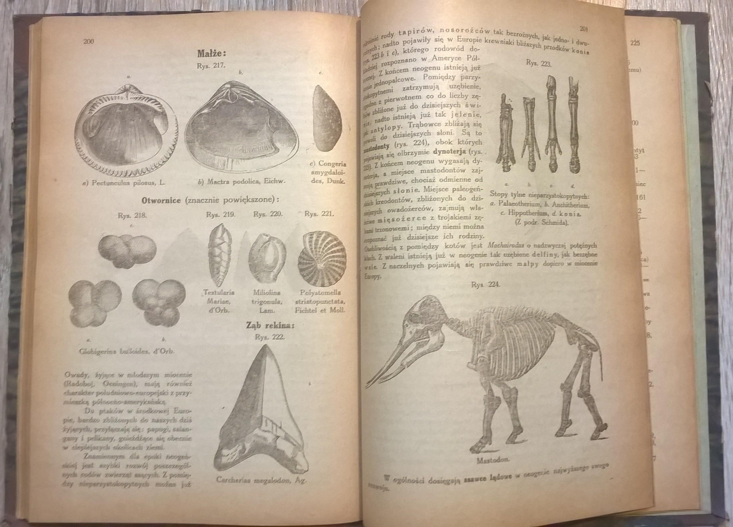Książka "Mineralogia i geologia" M. i J. Łomniccy - Lwów, 1921 r.