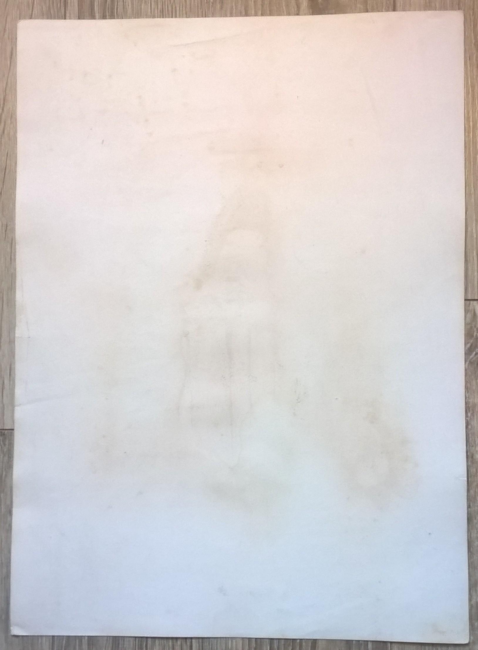 Rycina XIX (chromolitografia) – Sokół grenlandzki – Niemcy, koniec XIX w.
