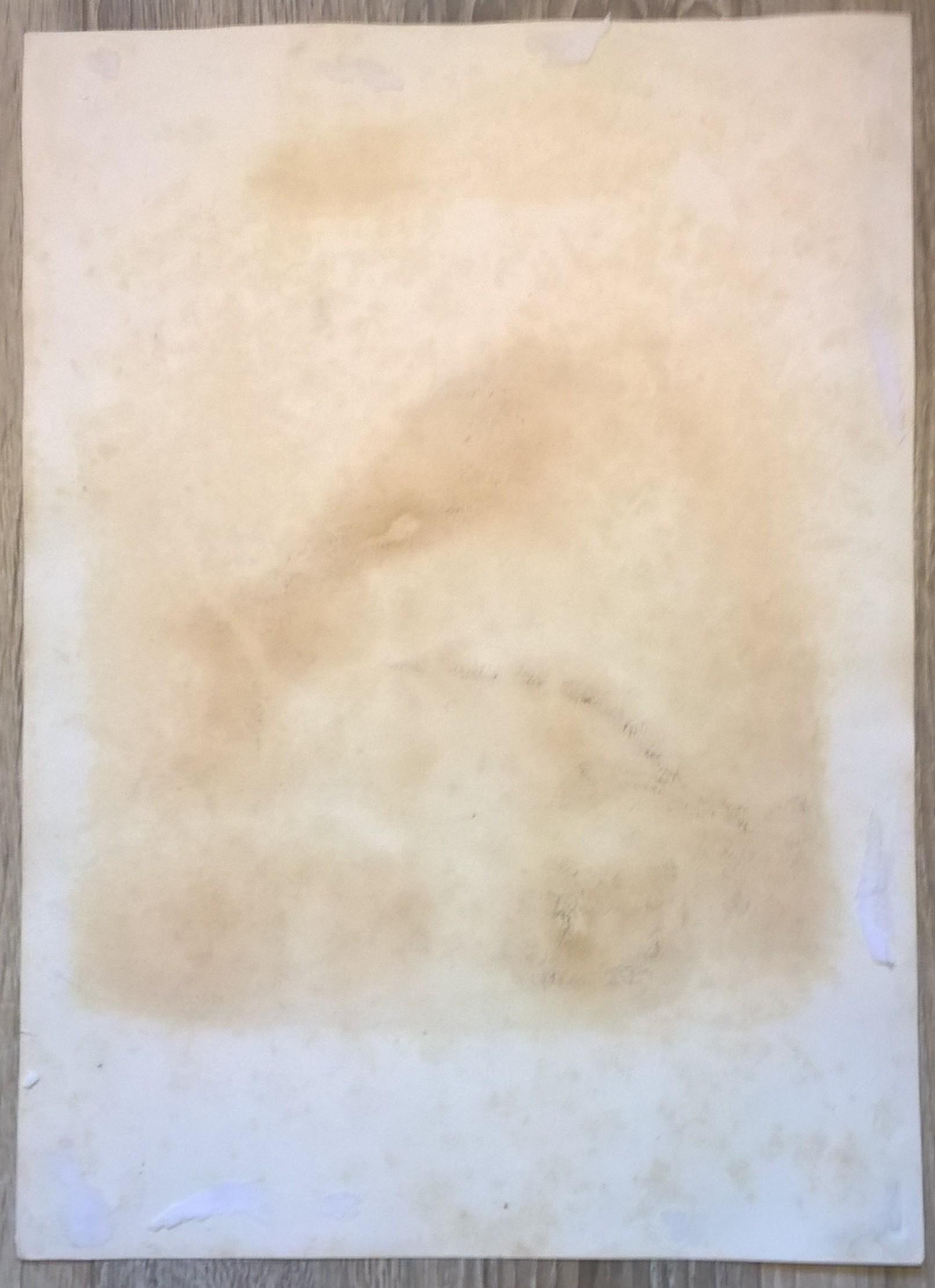 Rycina II (chromolitografia) – Myszołów włochaty – Niemcy, koniec XIX w.