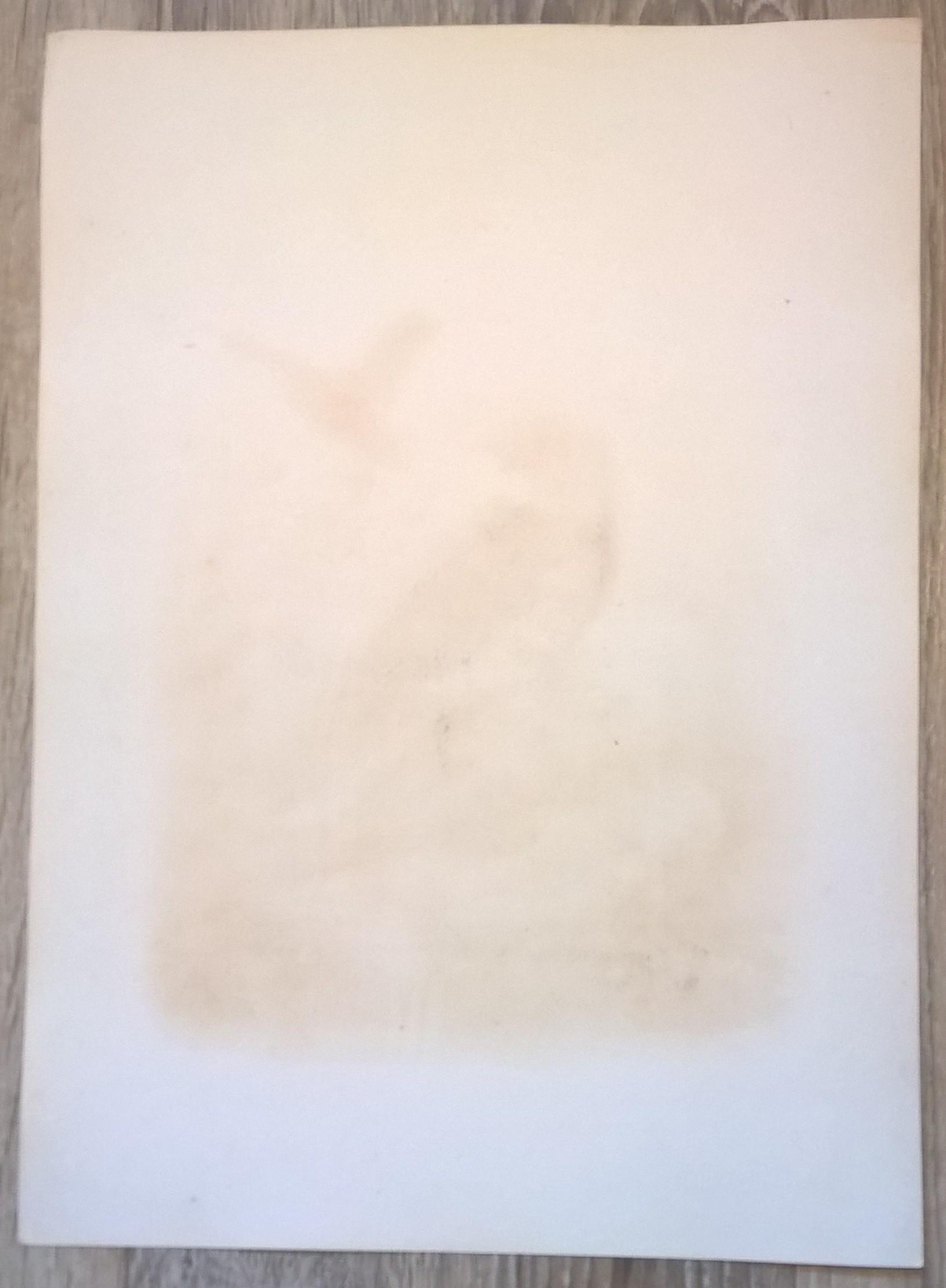 Rycina IV (chromolitografia) – Trzmielojad europejski – Niemcy, koniec XIX w.